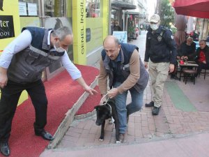 Samsun’da Polisten Yasaklı Irk Köpek Denetimi