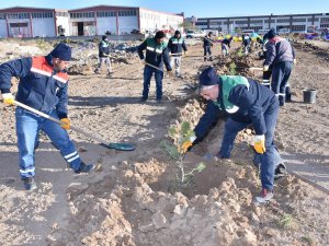Karatay Belediyesinden İlçeye 2021’de 213 Bin 162 Fidan Ve Bitki