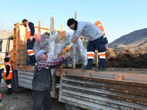 Başkan Altay: “Zeytin Üretimi İçin 2 İlçemizde Pilot Uygulamaya Başladık”
