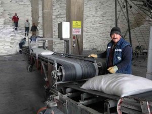 Muş’ta 38 Bin 290 Ton Şeker Üretimi Yapıldı