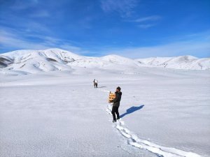 Bingöl’de Yaban Hayvanları İçin Doğaya Yem Bırakıldı