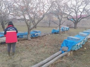 Iğdır’da Arılı Kovan Desteklemeleri