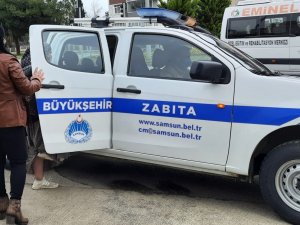 Zabıtadan Dilenci Operasyonu: 96 Kişi Suçüstü Yakalandı