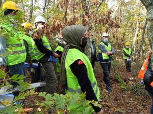 Ormanlarda Uygulamalı Eğitim