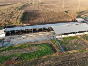 Mozzarella Peynirini Artık Sakarya Üretecek