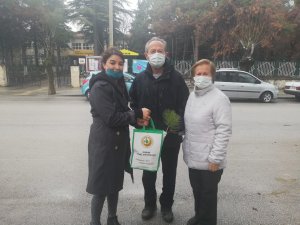 Çam Ağacı Kesimini Önlemek İçin Bin Adet Fidan Dağıtıldı