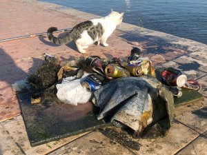 Denizden Çıkanlar Şaşırttı