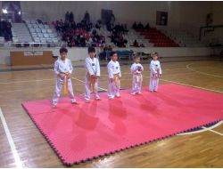 Mudanyalı Minik Tekvandocular Terfi Sınavında Terledi