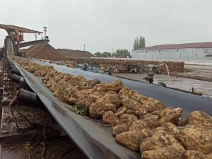 Malatya’da Pancar Alım Sezonu Sona Erdi