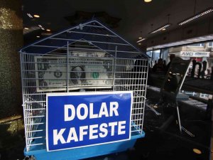 Doları Kafese Koydu, Alışverişlerinde Kuru 8 Liraya Sabitledi
