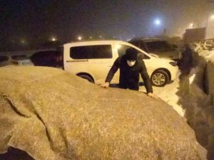 Bitlis’te Hayat Dondu