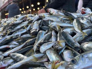 Denizlerden İstavrit Fışkırıyor