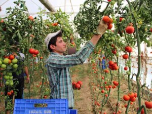 Sebze Fiyatında Son 3 Yılın En İyi Aralık Ayı