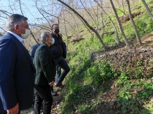 Fındık Bahçelerinde Cep Teras Uygulaması