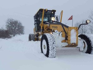 Posof İlçesinde Eğitime Kar Engeli