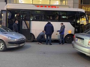Yolcular Kediyi Fark Etti, Otobüs Cadde Ortasında Durduruldu