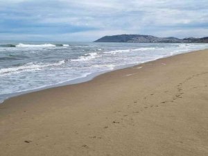 Başkan Ayhan: “Boğulmalara Karşı Gerekli Önlemleri Alacağız”