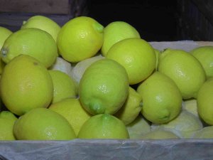 Kapadokya, Akdeniz Bölgesinde Yetiştirilen Limona ’Yataklık’ Ediyor