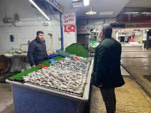 İ̇stavrit Yoğunluğu Balıkçıların Yüzünü Güldürdü