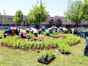 Diyarbakır 2021’de 3 Milyon 500 Bin Mevsimlik Çiçekle Süslendi
