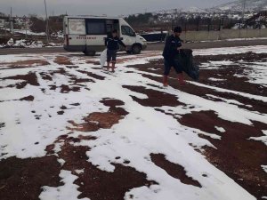 Bingöl Belediyesi Sokak Hayvanlarını Unutmadı