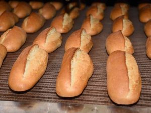 Besaş, Kapasitesini Yüzde 41 Arttırdı