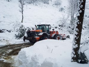 Doğu Karadeniz’de 235 köy ve mahalle yolu kar nedeniyle ulaşıma kapandı