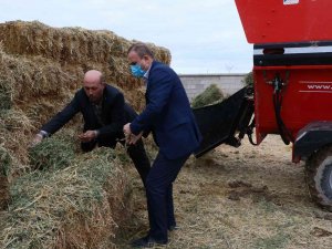 Aksaray Hayvancılıkta 22 Milyon Liralık 257 Projeyle Türkiye 2’incisi