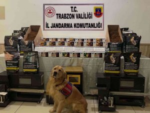 Kaçak Sigara İmalathanesine Baskın