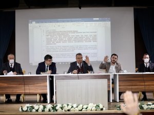 Yunusemre’nin Sokak Hayvanları İçin Hazırladığı Proje Bu Yıl Hayata Geçecek