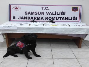 Samsun’da Zehir Tacirleri İle Mücadele: Çok Sayıda Narkotik Madde Ele Geçirildi