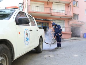 Pamukkale Belediyesi Sivrisinekle Mücadelesine Başladı