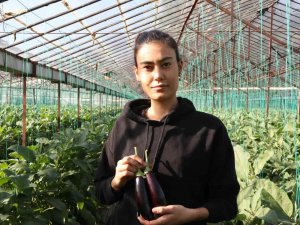 Halde 12, Pazarda 15 Tl Olan Patlıcan, Tarım Kredi Kooperatifi Marketinde 19,90 Tl