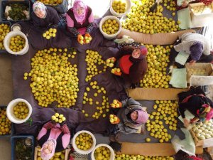 Her Aşamasında Onlar Çalışıyor, Kadınların Elinden Dünya Pazarına