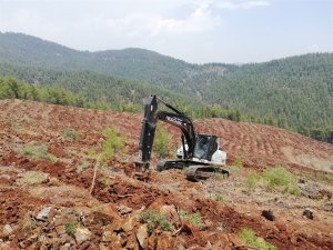 Mersin’de 2021’de 2,5 Milyon Fidan Dikildi