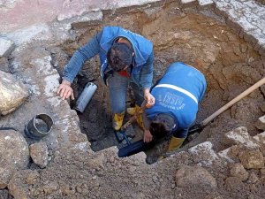 Siirt Belediyesi Si̇ski̇ Müdürlüğü 2021 Yılı Verilerini Açıkladı
