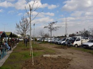 Yunusemre Belediyesinden Manisa Cbü Hafsa Sultan Hastanesinde Ağaçlandırma