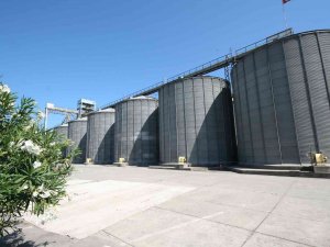 Tmo’dan Ekmek Zammına Karşı Hamle: 1 Milyon 220 Bin Ton Hububatı 2021 Fiyatıyla Satacak