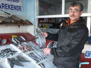 Burhaniye’de Balıklar Kooperatifle Değerlendi