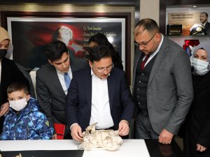 Afyonkarahisar’ın O İlçesi Mantar Üretim Merkezi Olacak