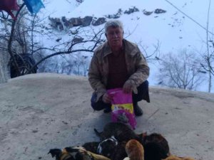 Trabzon’dan Batman Mereto Dağı Eteklerindeki Kedilere Mama