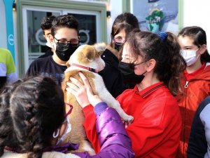 Öğrenciler ‘Can Dostları’ İle Keyifli Vakit Geçirdi