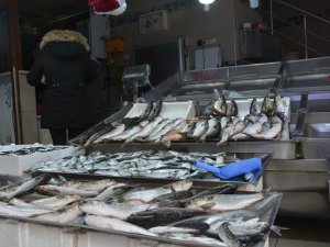 Karadeniz’de Bu Sezon Hamsi Yüz Güldürdü