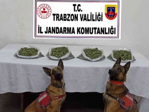 ‘Yatkın’ Ve ‘Duman’dan Kaçış Yok