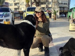 Balıkesir Körfez İlçelerinde Çevre Doğa Ve Hayvanları Koruma Amirliği Ekipleri 7/24 Görev Başında