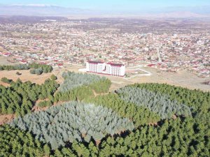 Gençlik Kampı Projesinde İnşaat Çalışmaları Başladı