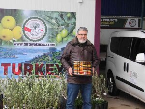 Karyalılar’ın Yaşantısını İnceledi İlginç Bir Buluş Ortaya Çıkardı