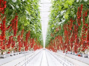 Kozaklı Osb Başvurusu Kabul Edildi