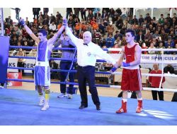 Türkiye Büyük Erkekler Ferdi Boks Şampiyonası Sona Erdi