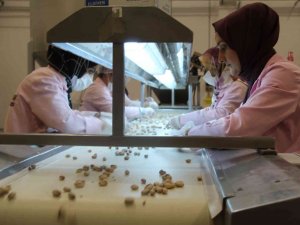 Siirt’ten Çin’e Yarım Milyon Dolarlık Fıstık İhracatı Yapıldı